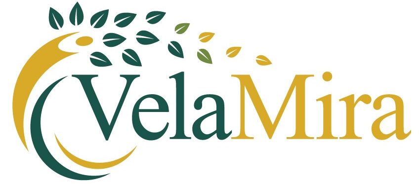 logo1 8 1 trn.013 velamira